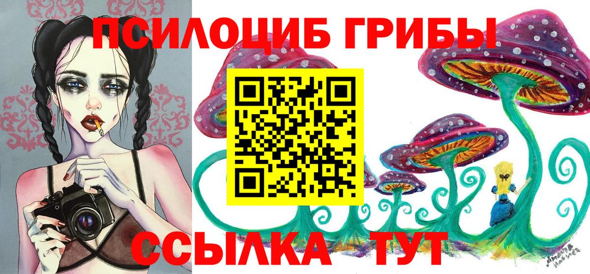 Псилоцибиновые грибы прущие грибы  Вход с VPN  Хабаровск 